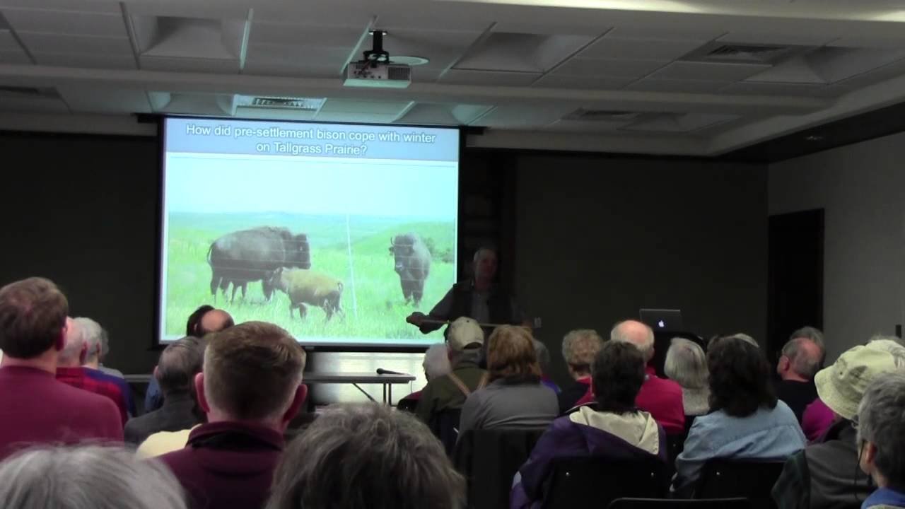 ksi Gene Towne - How Bison Survive the Winter - Part 3 of 3