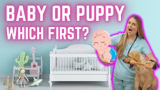 Should you bring home a Puppy or have a Baby first? MUST WATCH!!! by Doctor Lindsay Butzer DVM 1,191 views 3 months ago 6 minutes, 13 seconds