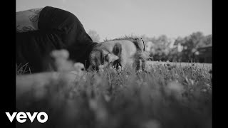 The Wldlfe - Parachute (Official Music Video)