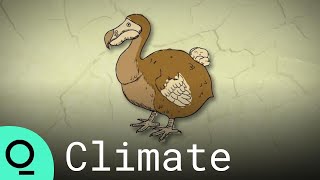 A Billion Dollar Startup Wants to Bring Back the Dodo
