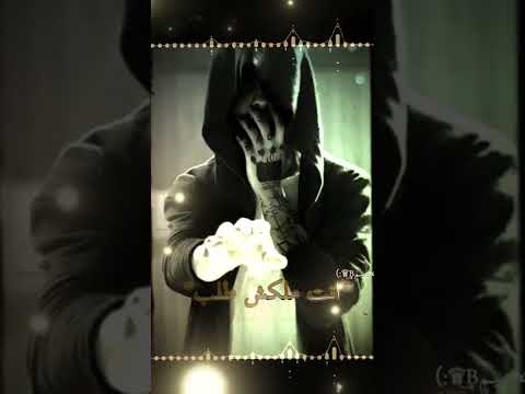 انت ولا جامد ولا نيله