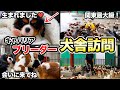 【子犬】キャバリアを迎えるなら”絶対にチェックすべき犬舎”を紹介します!