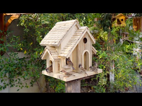 Build Wooden Villa
