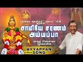 Swamiye saranam ayyappa  ayyappan song  tamil  deva  raghav prasanna