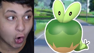 Shiny Hunting Applin