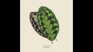 Dam Swindle - Come Back