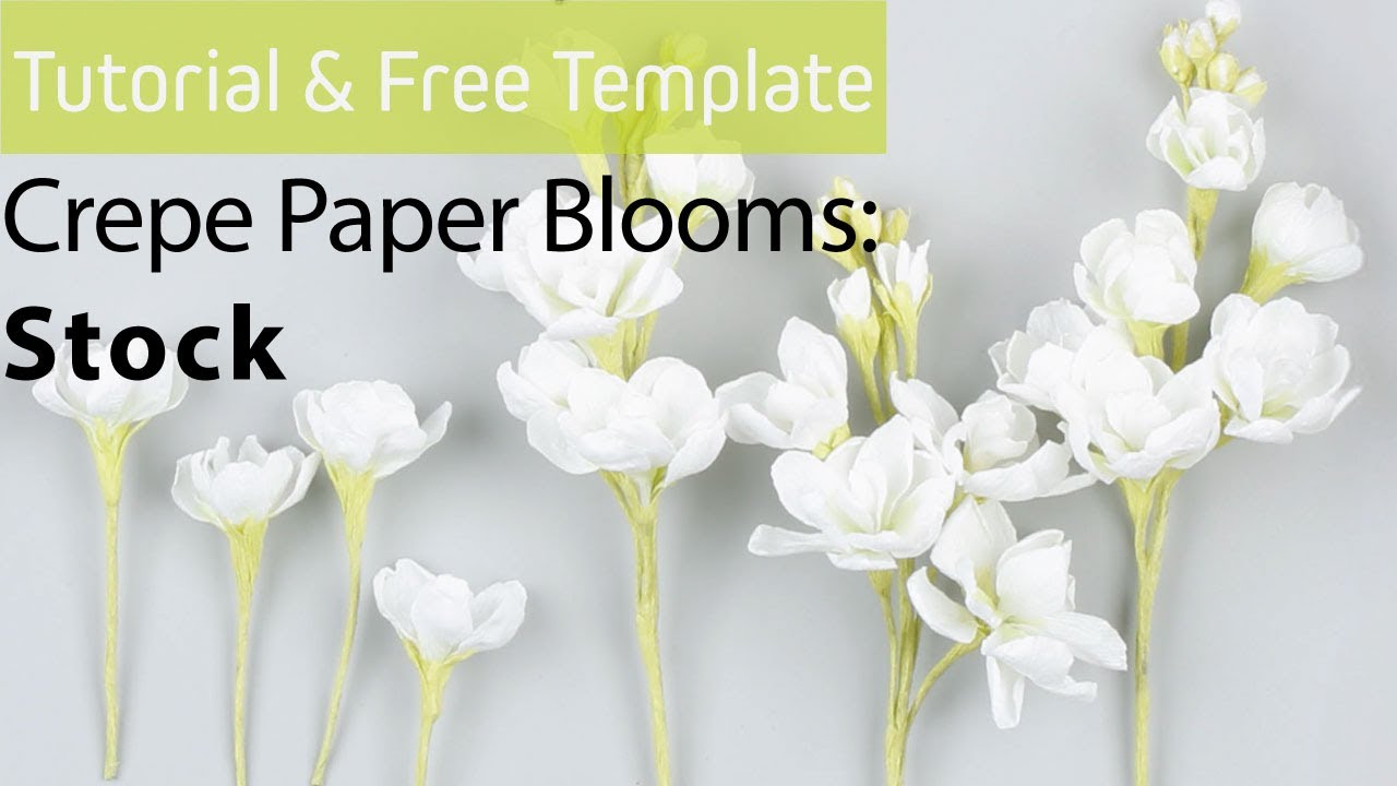 [Free Template & Tutorial] Crepe Paper Blooms #7: Stock 스토크 종이꽃 만들기 / Crepe Paper Flower DIY