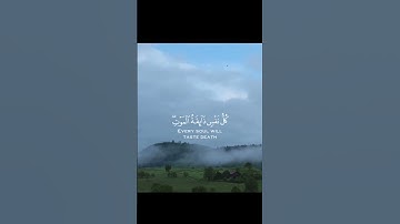 { كل نفس ذآئقة الموت } سورة العنكبوت عبد الرحمن مسعد #ارح_قلبك #تلاوة_خاشعة