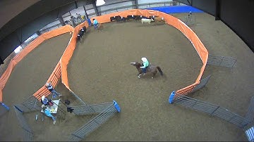 Big Sky Ranch Sorting Saddle Series #2 - #10 H/C - Round #2 - Ride #4