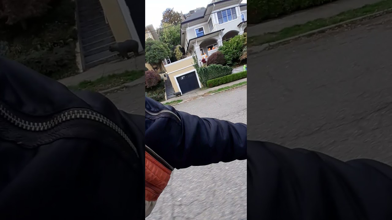 downhill bike ride pdx, checking out Halloween decor