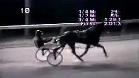 1993 Balmoral Park BROADWAY SMASH Tom Stamper