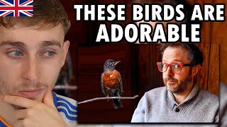 Famous Brit Reacting to Let's Talk About American Robins Profile