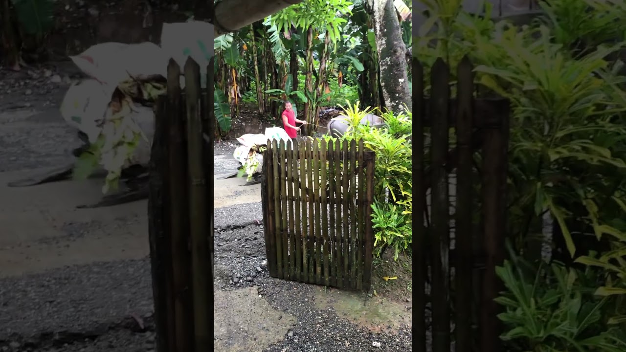 Philippines Village Life. 