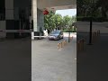 Simultaneous Entry & Exit Anti-Tailgating Barrier | Smart Parking Security Solution