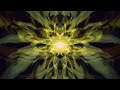Flipped Lid - SLAM [winamp milkdrop video]