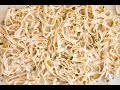 How to Make Classic Fettuccine Alfredo | Colavita