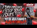 ЧТО ДЕЛАЮТ АДМИНЫ на REALLYWORLD после вайпа??