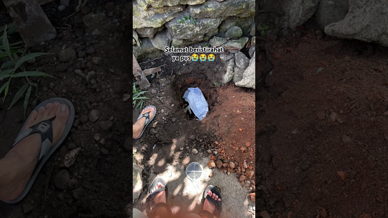 sholawat nabi #shortvideo #katahatimotivasi #cat #yt #catvideos #catlovers #kucingkeracunan #kucing