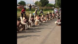 Zulu Wedding Ceremony Umabo Charlie Masala