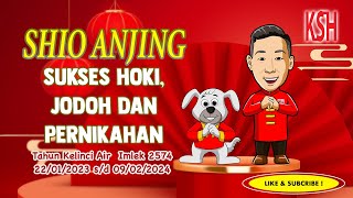 JODOH, PERUNTUNGAN DAN KIAT SUKSES SHIO ANJING DI TAHUN KELINCI AIR IMLEK 2574 / 2023