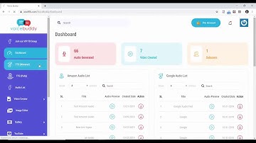 VoiceBuddy Review Demo
