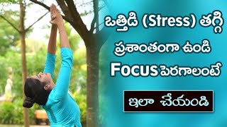 Exercises for Stress Reduction | Improves Focus | Mind Relaxation | Yoga with Dr. Tejaswini Manogna screenshot 4