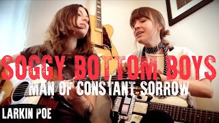 Video thumbnail of "Soggy Bottom Boys "Man Of Constant Sorrow" (Larkin Poe Cover)"