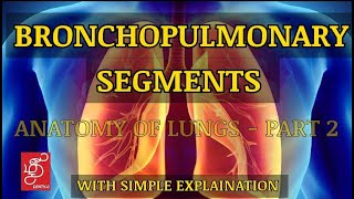 BRONCHOPULMONARY SEGMENTS | BRONCHOPULMONARY SEGMENTS OF LUNGS - IN TAMIL #ANATOMY #SURGERY