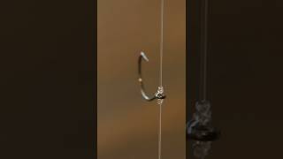 A Fishing Knot We Bet You Didnt Know About Coopergallantfishing2186