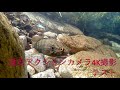 激安アクションカメラ4ｋ撮影テスト