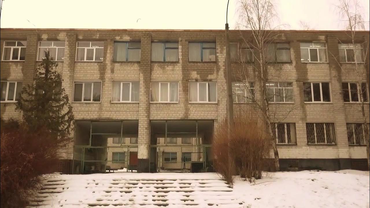 Васильков школы