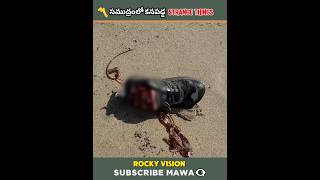 ⚡ సముద్రంలో కనపడ్డ Strange Things🤯 | Intresting facts | #ytshorts #shorts