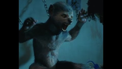 Werewolf the Podcast: Werewolf Stories Hosed and interrogated  Interview three