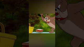 A Perfect Picnic 🧺 #shorts #tomandjerry | @wbkids​ screenshot 5