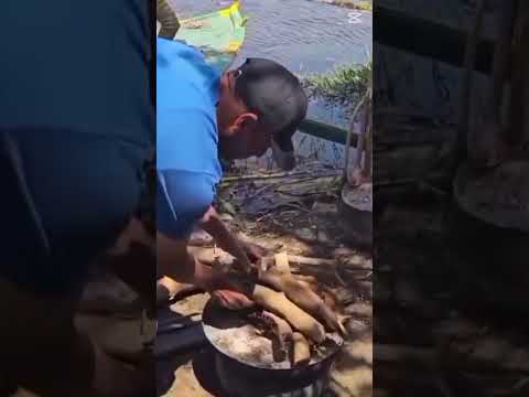 دقة السمك هى عشق كل المحبين