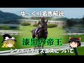 ゆっくり名馬解説　シンボリクリスエスについて