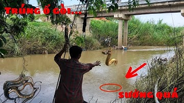 Câu trúng ổ chạch to dưới chân cầu khi nước lũ rút/1 ngày bội thu cá suối