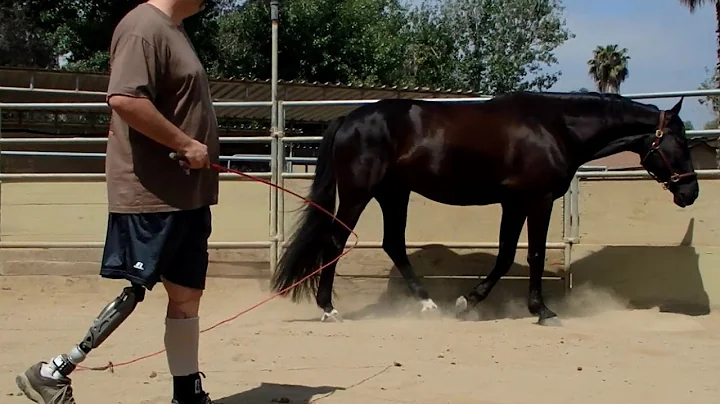 VGK GO ANYWHERE - Take Life by the Lead