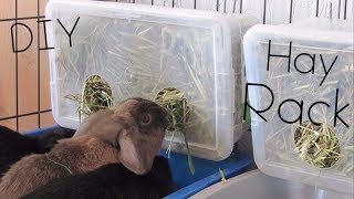 DIY HAY RACK/BOX | SUPER CHEAP!