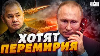 Срочно! Путин приказал начать перемирие на Рождество, но Киев разоблачил план Кремля
