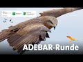 ADEBAR Runde 29 03 2025