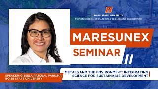 Metals and the Environment: Integrating Science for Sustainable Development