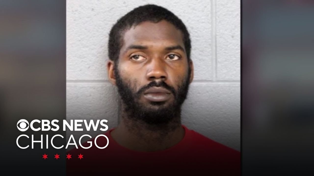 Man charged with killing Oak Park detective appears in court