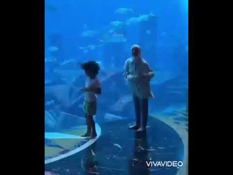 Shorts Rudeboy Hey Mama Dance Challenge 