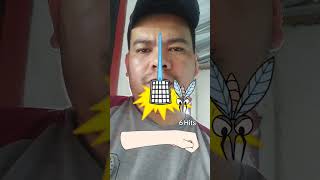 nyamuk nakal #game