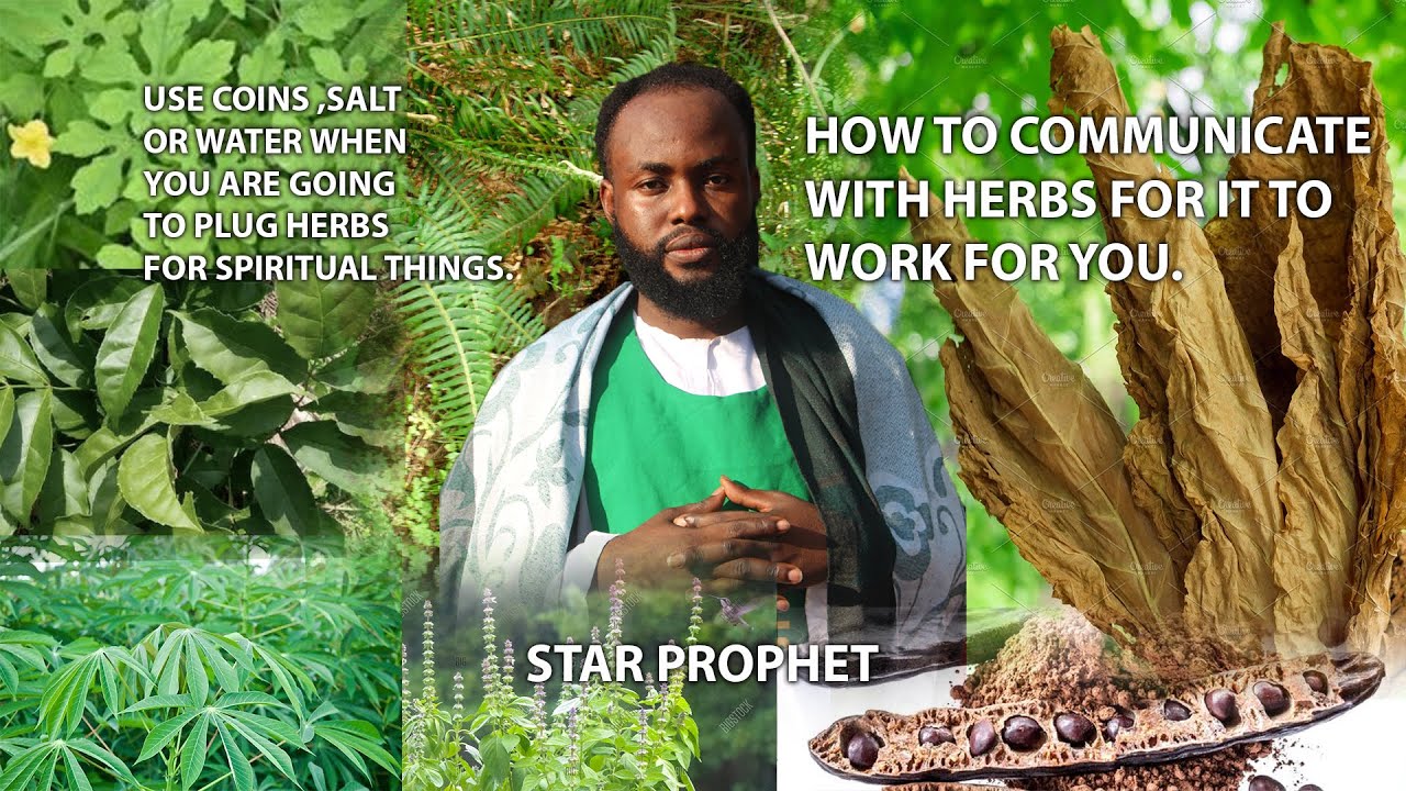 HOW TO PLUCK A HERB FOR SPIRITUAL PURPOSE YouTube