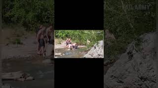 From relaxing river vibes to unexpected chaos.