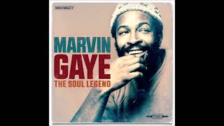 Watch Marvin Gaye One For My Baby And One For The Road Stereo video