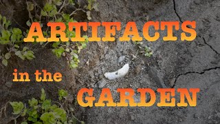Artifact Hunting Plowed Fields