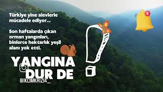 Orman Yangıları